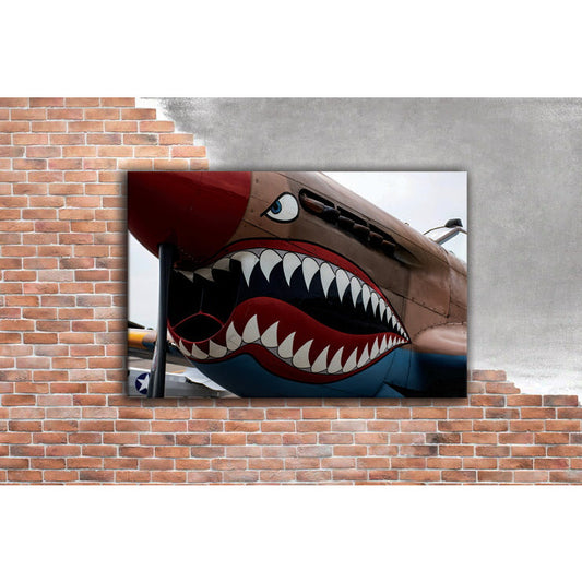 Shark Bomber - UV Printed